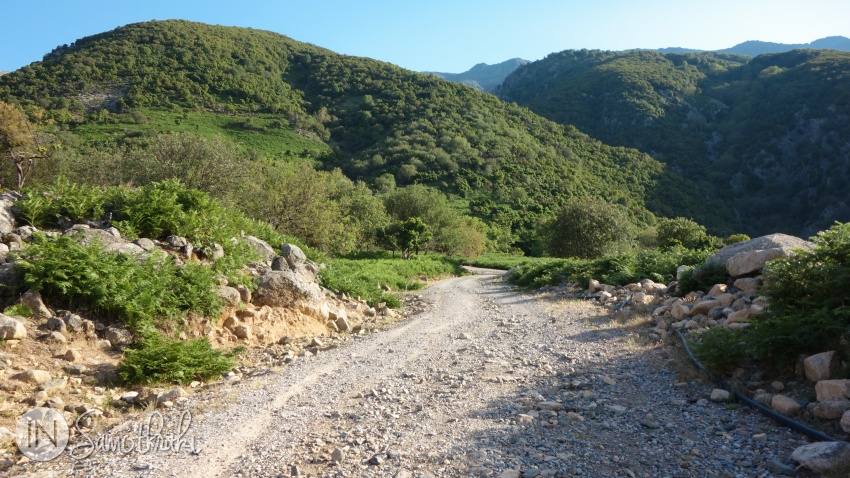 From the main road, the gravel road climbs slowly toward the mountain.