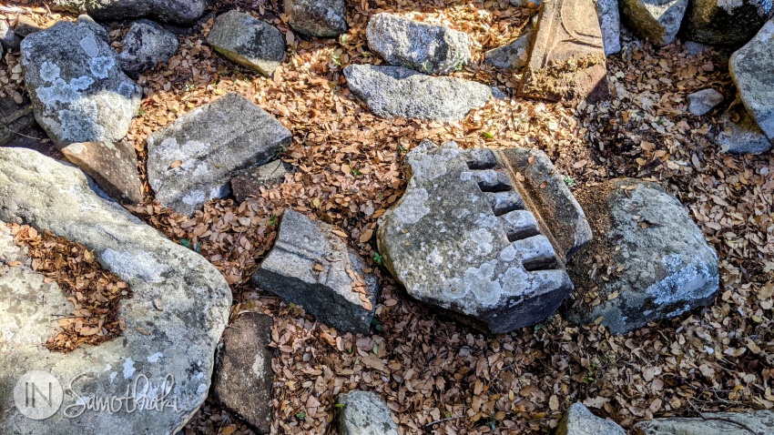The remains of an ancient settlement are scattered throughout the forest.