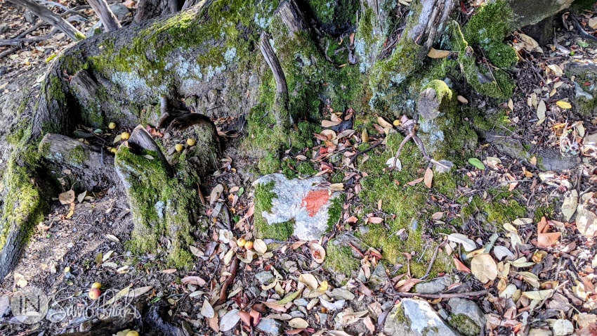 The trails are generally marked with red dots drawn on rocks.