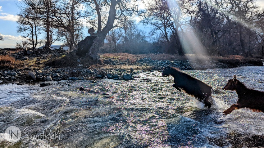 During the winter, on the Agkistros River