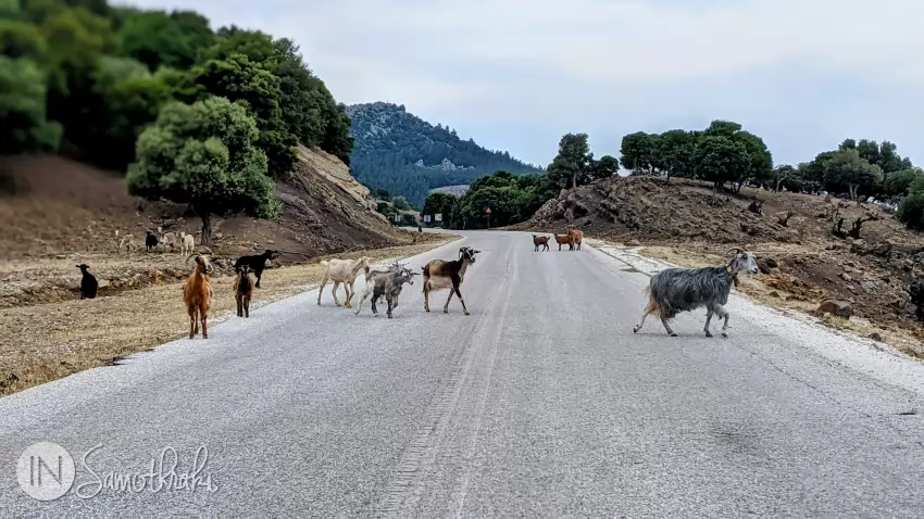 Samothraki, the Goat Island