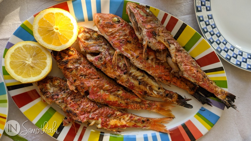 Grilled mullets at the To Limanaki tavern in Kamariotissa
